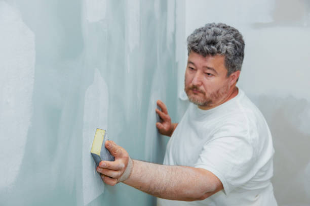 Mold Remediation for Vacation Homes in St Clair, PA